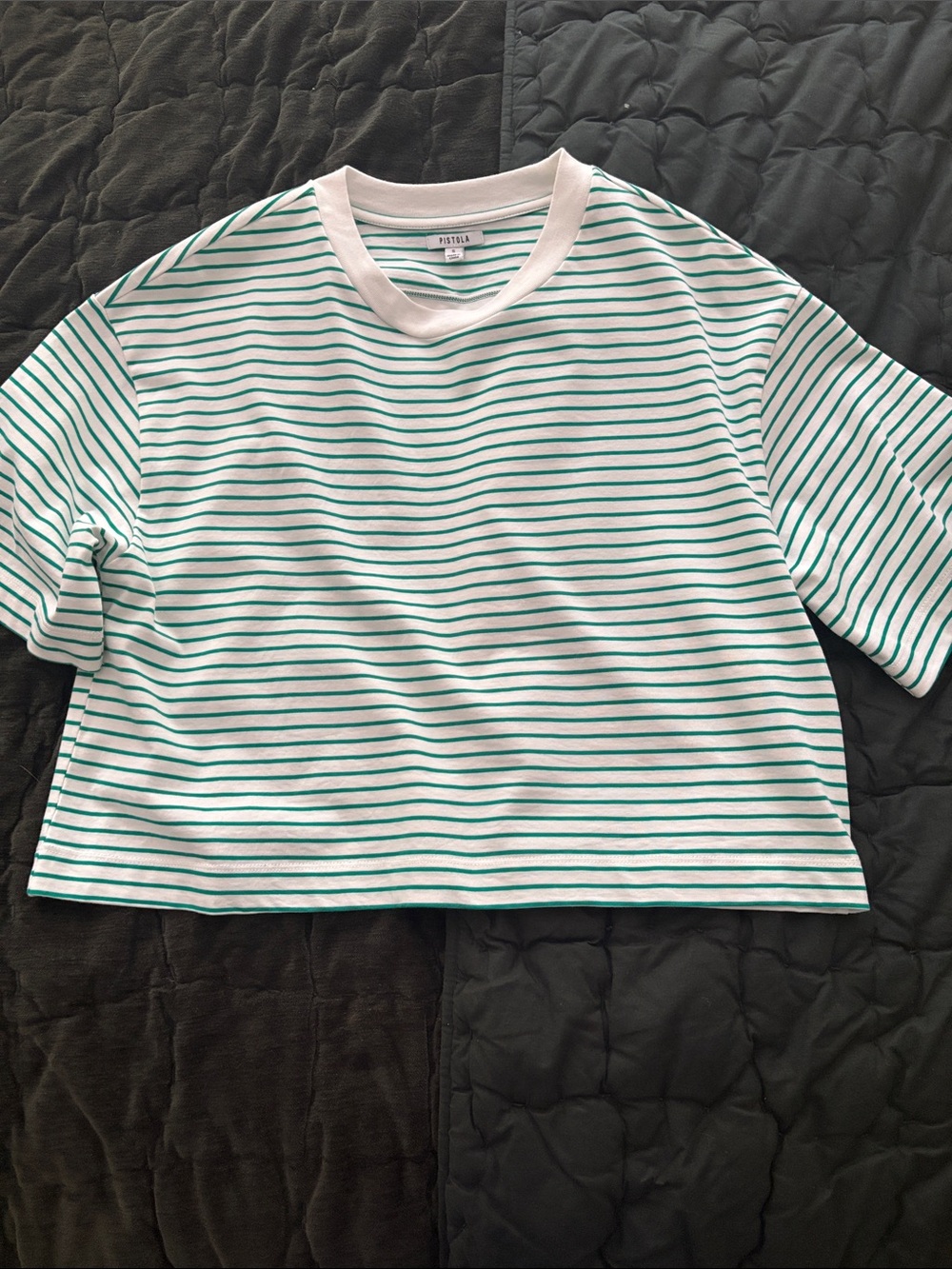 Brand new pistola White and Green Striped Tee - Picture 6 of 6